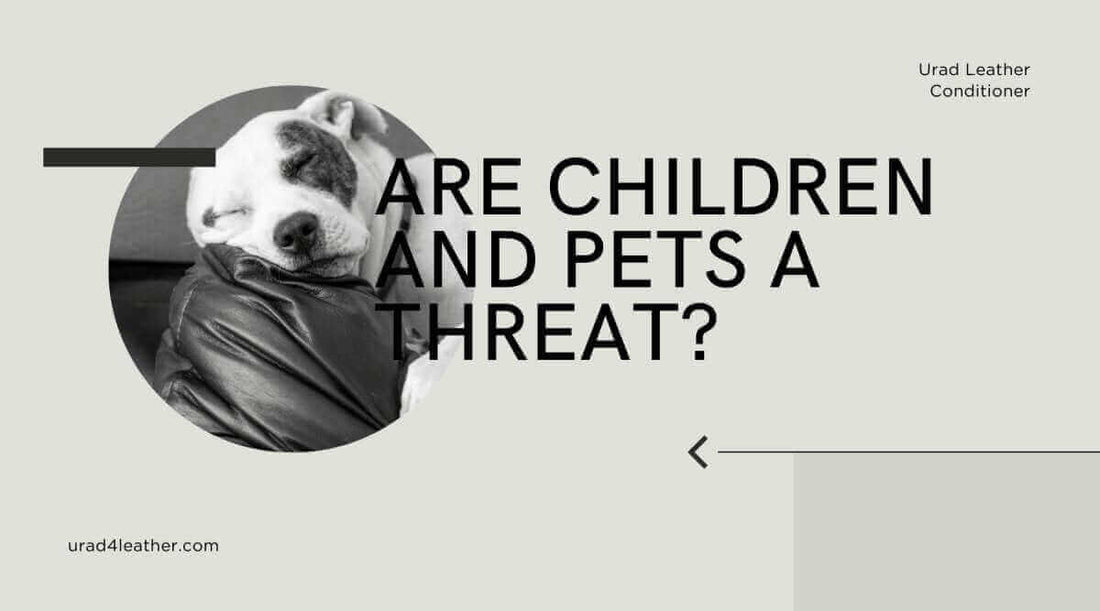 Safeguarding Your Leather Sofa: Are Children and Pets a Threat?