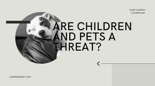 Image depicting a sleeping dog, highlighting article on leather sofa protection from children and pets.