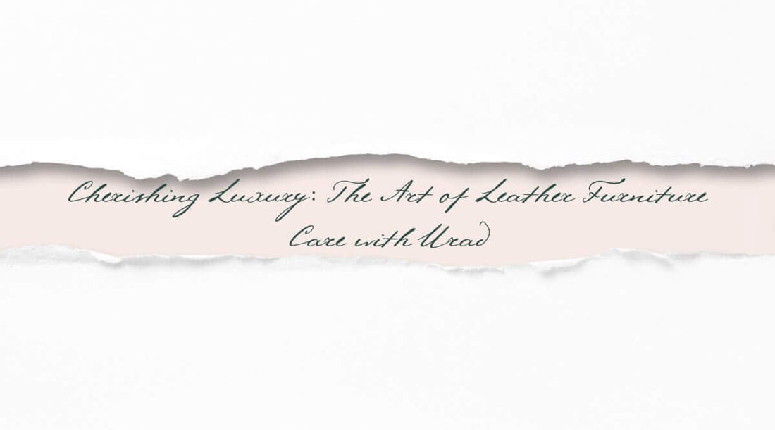 Cherishing Luxury: The Art of Leather Furniture Care with Urad - leather furniture care guide
